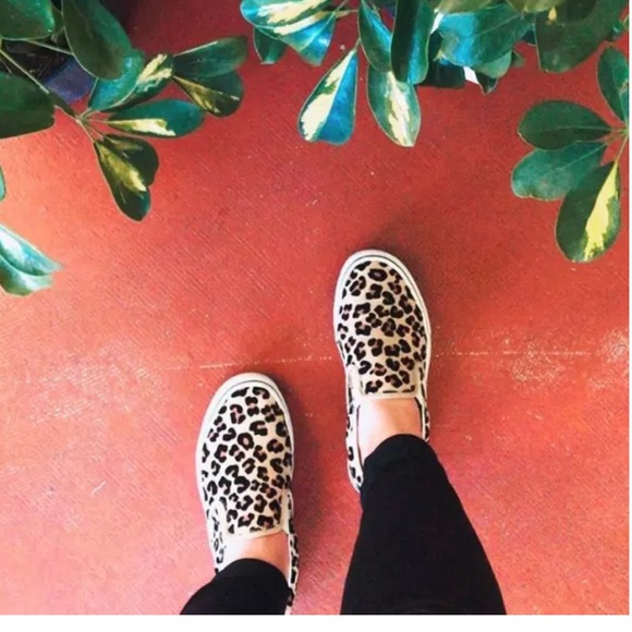 Vans - Picture 5 of 12